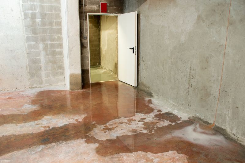 Wet Basement Solutions in Tampa, FL